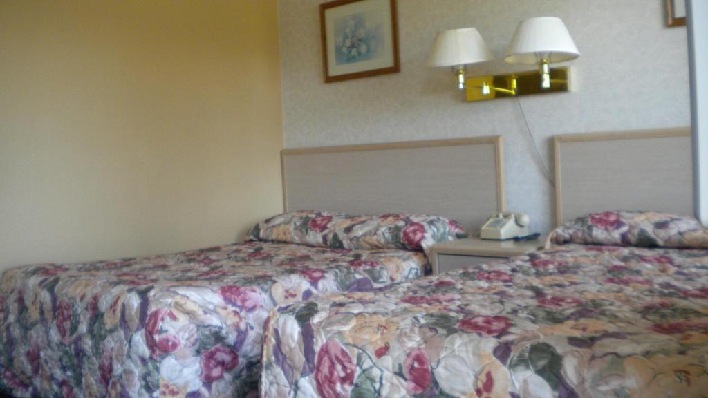 Studio 6 Suites - Albany, Or Ruang foto